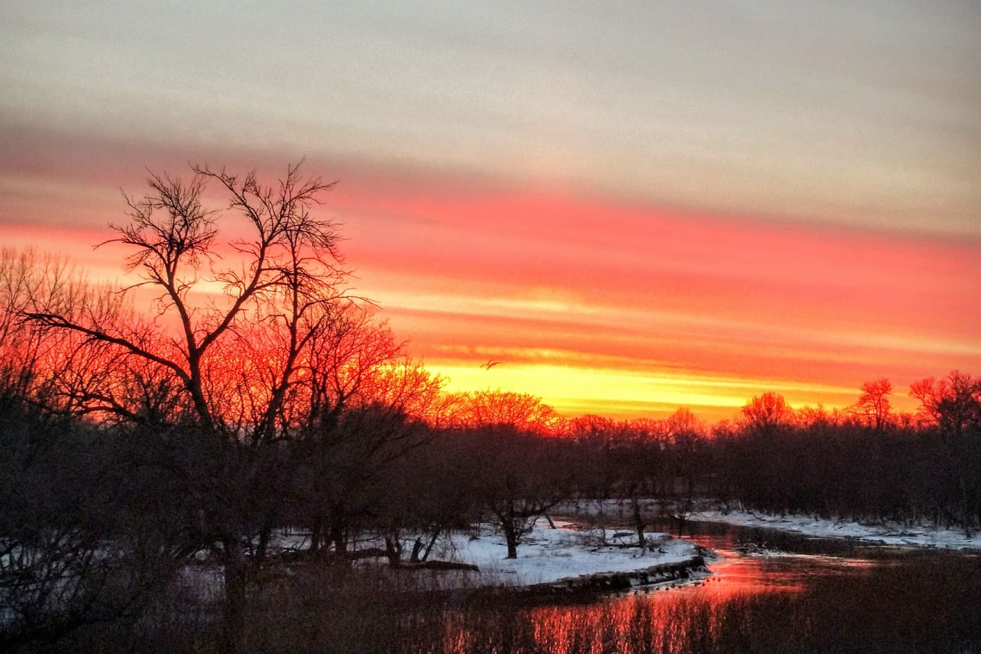A red winter sunset over a snow-covered river bend and bare trees